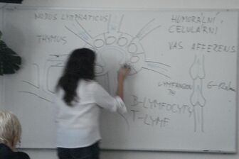 Lymfatické masáže celého těla - 6