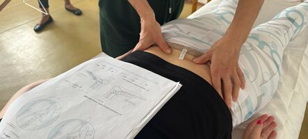 Tuina – čínská masáž II