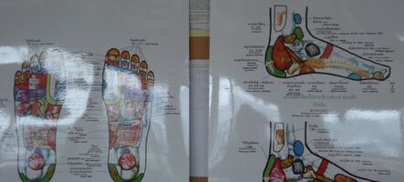 Reflexologie plosky nohy II – vnitřní orgány a diagnostika