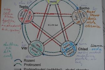 Sujok a moxování - 4