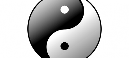 Základy tradiční čínské medicíny